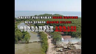 Akibat Perubahan Iklim Ekstrim Bedono Hampir Hilang Terdampak Abrasi