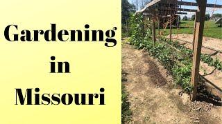 Missouri garden tour - Mittleider method (2019)