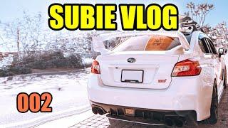 Subie Vlog EP02 Surf Lessons