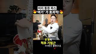 허리통증에 파스? 효과 2배 되는 붙이는 위치 알려드립니다