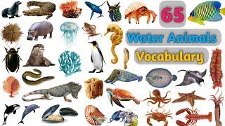 Water Animals Vocabulary ll 65 Water Animals Name In English With Pictures ll Aquatic Animals Name