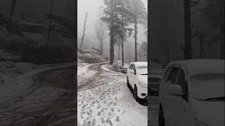 Like snowfall in kashmir #snowfall #snow #winteriscoming #snowfallsounds #kashmir