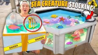 Stocking My SALTWATER POND With EXOTIC AQUARIUM FISH! (Shopping Spree)