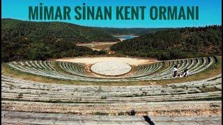 MİMAR SİNAN KENT ORMANI  / SULTANGAZİ  -  İSTANBUL