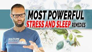 Natural Remedies for Stress and Sleep