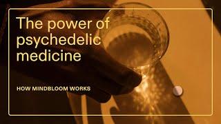 At-Home Ketamine Therapy with Mindbloom | How it Works