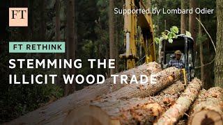 Forest detectives are tackling the illegal wood trade | FT Rethink