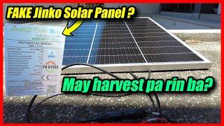 Jinko 100W/200W Solar Panels - Sayang ba pera mo? [JinkoTigerNeo]