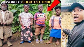 WORLD SHORTEST Tribe | The Batwa Pygmies 