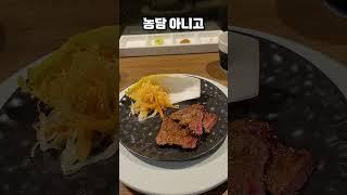 1인 13만원 "소고기 오마카세" 리뷰