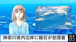 神奈川県内沿岸に軽石が初漂着（AIアナ・１２月１５日）