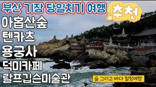 부산여행 기장 당일치기 추천코스/ 아홉산숲 텐카츠 랄프깁슨사진미술관 덕미카페 해동용궁사/ 가을을 느끼는 힐링여행