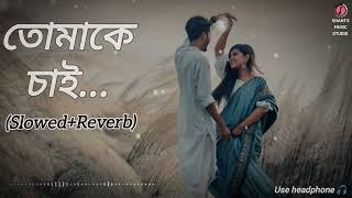 Tomake Chai (Slowed+Reverb) | তোমাকে চাই শুধু | Andrew & Kanak | Sajid & Prity | Bangla Lofi Song