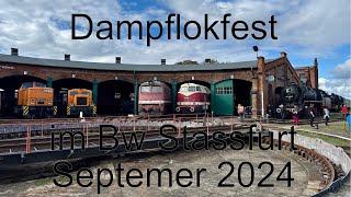 Dampflokfest Bw Stassfurt Herbst 2024