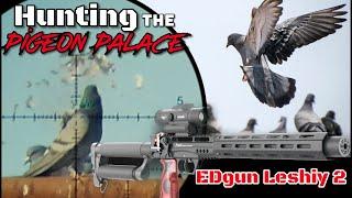 Hunting the Pigeon Palace with the EDgun Leshiy 2 (Part 1)