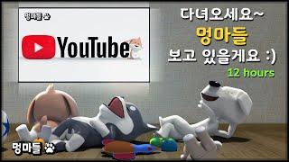 반려견이 즐거운 멍마들! 놀이영상과 음악!! 장시간 외출 시 보여주세요 - Mungmadle that makes your dog happy