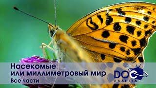 Насекомые или миллиметровый мир - Все части - Документальный фильм