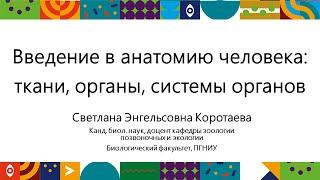 Введение в анатомию человека | Открытый университет