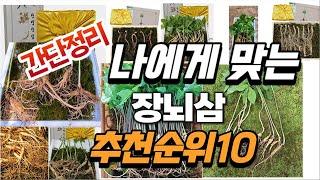 2024년 가성비대박  장뇌삼 추천순위 TOP10