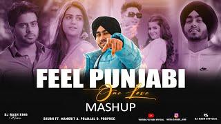 One Love - Feel Punjabi Mashup | Ft. Shubh | Mankirt Aulak | One Love X Koka | Dj Rash King | Insane