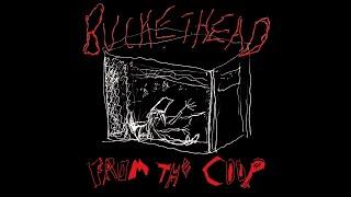 Buckethead - Excerpt #2