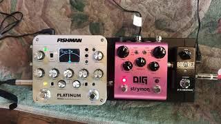 FISHMAN PLATINUM PRO EQ, Strymon DIG, BODYREZ, AcousticpedalBoard / 원미사운드