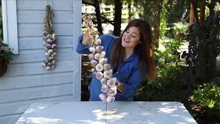 How to Braid Garlic (THE EASY WAY) 