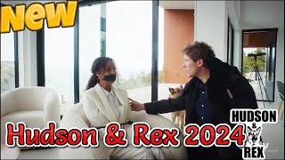 Hudson and Rex New 2024 A Stab in the Dark Web  Best American Police Full Episodes