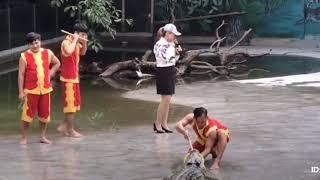 Crocodile Show Failed Video  Funny   - Circulate Adventure