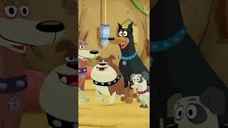 Pound Puppies | Cute Pets | HasTV Charm #short #cartoon #pets #animals