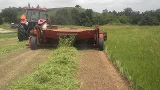 New Holland 490 Haybine