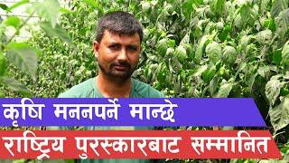 कृषि मन नपर्नेको करोडौंको फार्म || Vegetable farming in Nepal ||