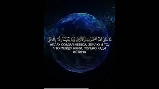 Ар-Рум Чтец -​ Muhammad Al Naqeeb / محمد النقيب / @mohammed_naqeeb