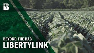 LIBERTYLINK® I Beck's Beyond the Bag