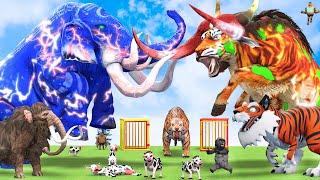 10 Mammoth Elephant Cow vs 5 Giant Tiger Bull Zombie Elephant Attack Cow Baby Saved by Woolly Mammot