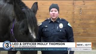 Police fundraise for new horse, search for forever home for retired one