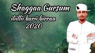 Shaggaa Gursum - iliillii barii birraa - New Ethiopian Oromo music - 2020