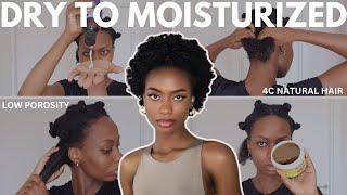 MOISTURIZING ROUTINE FOR MY LOW POROSITY 4C NATURAL HAIR | HOW I MOISTURIZE AFTER WASH DAY