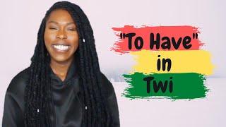 LEARN THE TWI LANGUAGE IN 3 MINUTES:  The Verb "TO HAVE"  in Twi | Basic Twi Lessons for Beginners