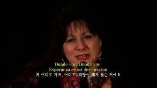 Donde Voy -Tish Hinojosa (한글 자막판) 전 어디로 가죠 -Spanish subtitles