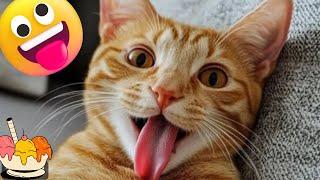 Best FUNNY videos Of cats,dogs 2025CUTE And FUNNY ANIMALS Videos  Moments 2025 FUNNY Cute kittens