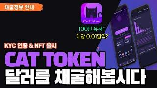 달러를 채굴하는 앱테크 캣스타(CAT STAR) KYC 및 NFT 론칭! 이거 대박의 냄새가?