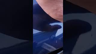 Tesla Model X Rock Chips Found After 4,000 Miles | Should Have Gotten Paint Protection