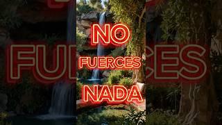 NO fuerces NADA en tu VIDA #estoicismo #filosofía #reflexiones #desarrollopersonal