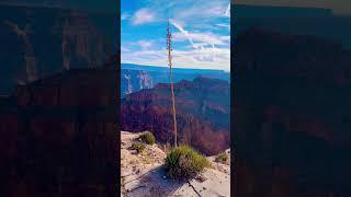 How wonderful it is, the view is amazing #Canyon #arizona #perfect #life #grandcanyon #travel