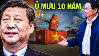 Trung Quốc Tung Đòn Kinh Tế Chí Mạng: Việt Nam Âm Thầm Bẻ Gãy Nước Cờ Định Mệnh?
