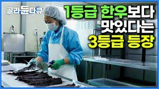 1등급 한우보다 3등급이 더 맛있다고?! 왜 1등급 한우가 아니라 3등급이 육포에 최고일까?｜햇빛이 쨍하니 투과되면서 연한 갈색이 돼야 가장 잘 나왔다는 육포｜극한직업｜#골라듄다큐