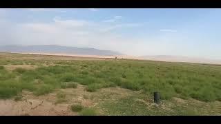 daily work of a rural village in Uzbekistan