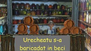 Urecheatu s-a baricadat in beci