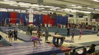 Leanne Wong Vault - 2017 Elite Qualifier Allentown